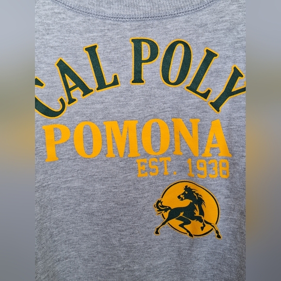 Cal Poly Pomona Gray Sweatshirt SzL Long Sleeves - Picture 2 of 8